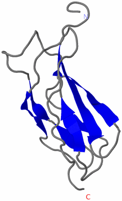 Image NMR Structure - model 1