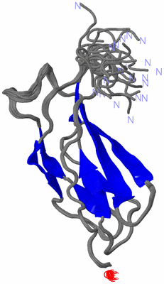 Image NMR Structure - all models