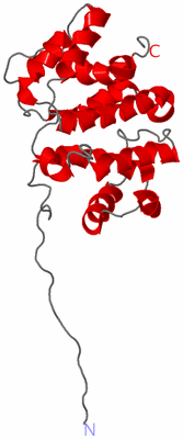 Image NMR Structure - model 1