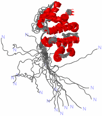 Image NMR Structure - all models