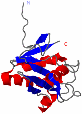 Image NMR Structure - model 1