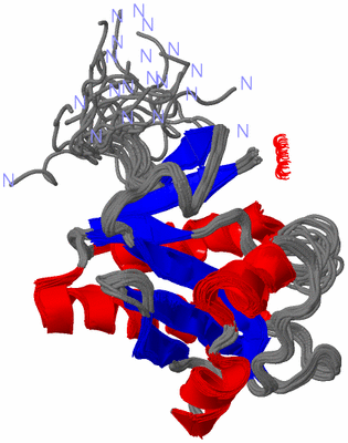 Image NMR Structure - all models