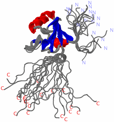 Image NMR Structure - all models