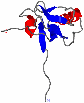 Image NMR Structure - model 1