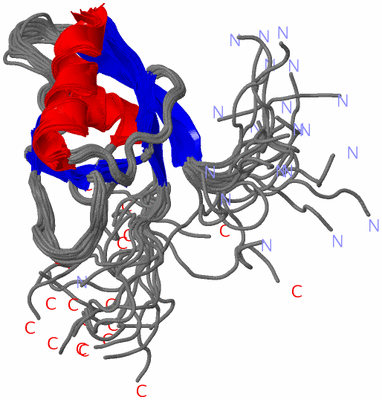 Image NMR Structure - all models