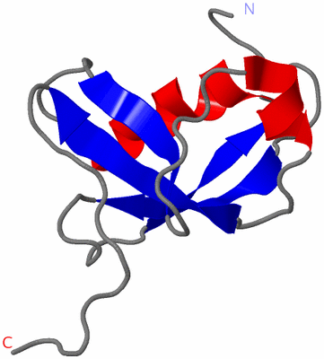 Image NMR Structure - model 1