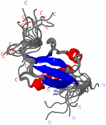 Image NMR Structure - all models