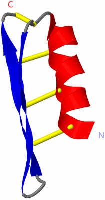 Image NMR Structure - model 1
