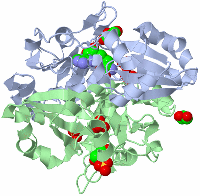 Image Biological Unit 1