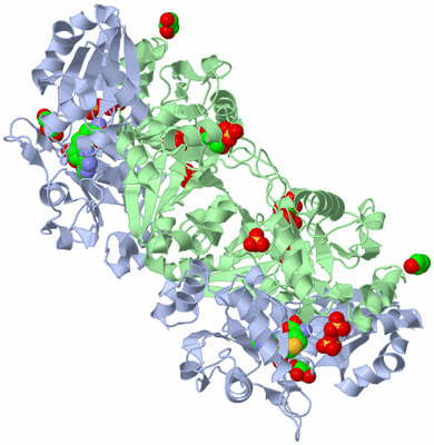 Image Biological Unit 2