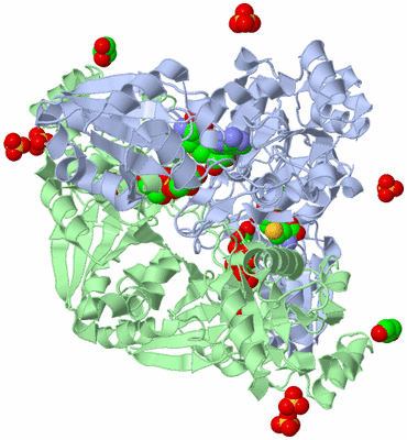 Image Biological Unit 3