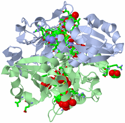 Image Asym. Unit - sites