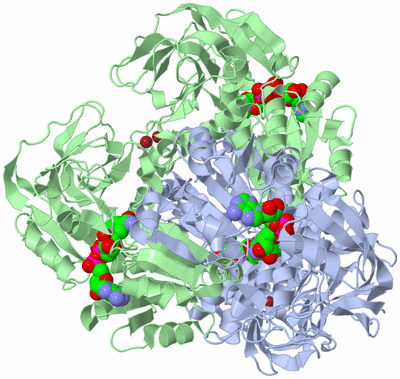 Image Biological Unit 1