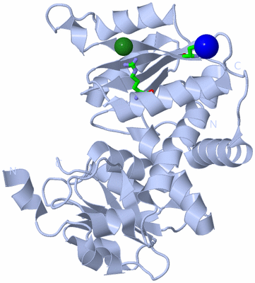 Image Biol. Unit 1 - sites