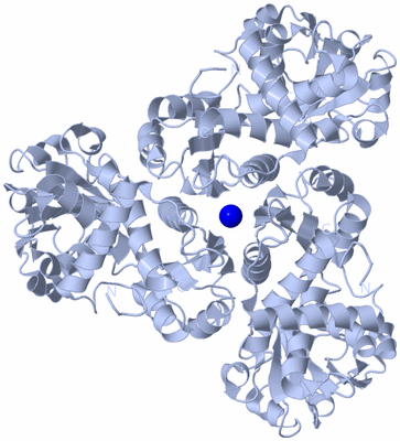 Image Biological Unit 2