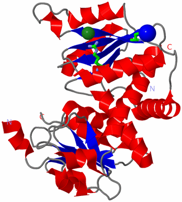 Image Asym. Unit - sites