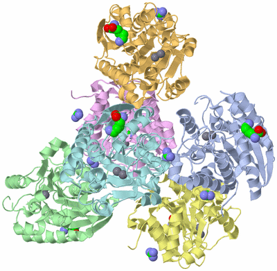 Image Asym./Biol. Unit