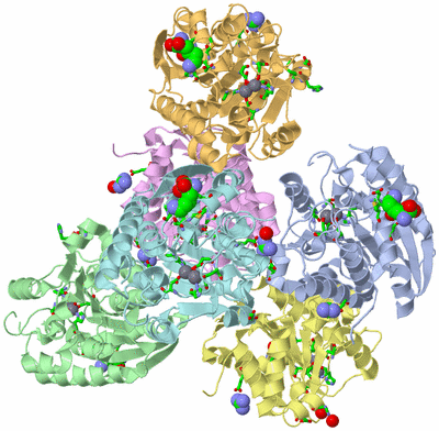 Image Asym./Biol. Unit - sites