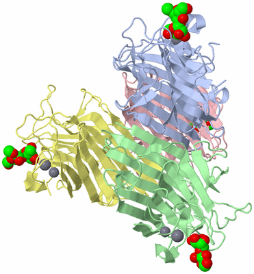 Image Asym./Biol. Unit