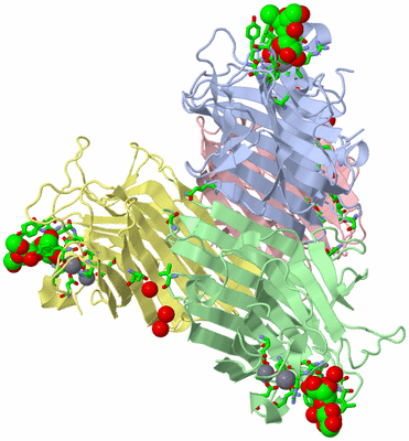 Image Asym./Biol. Unit - sites