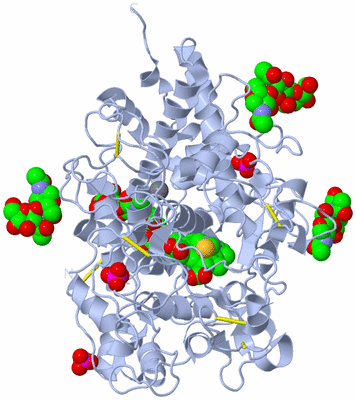 Image Biological Unit 1