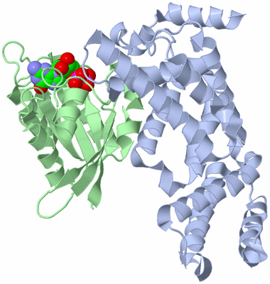 Image Biological Unit 1