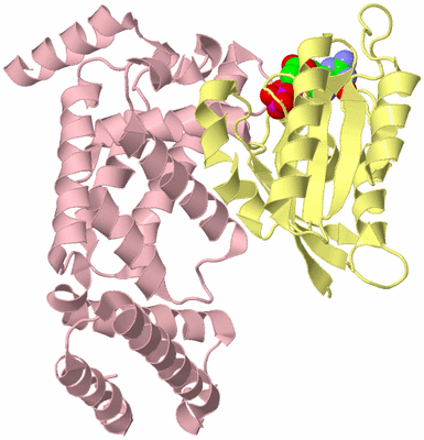 Image Biological Unit 2