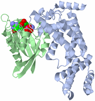 Image Biological Unit 1