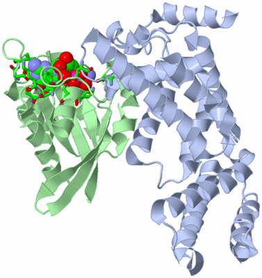 Image Biol. Unit 1 - sites