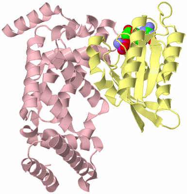 Image Biological Unit 2