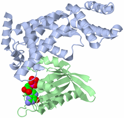 Image Biological Unit 1