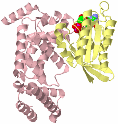 Image Biological Unit 2