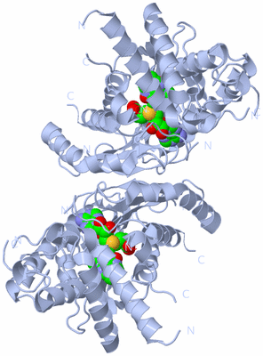 Image Biological Unit 1