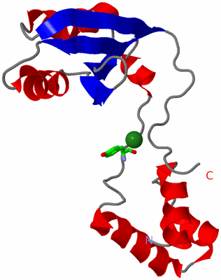 Image Asym. Unit - sites