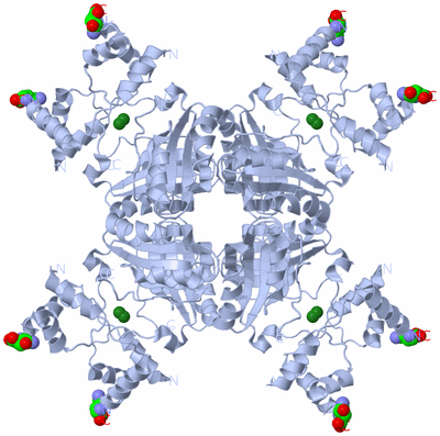 Image Biological Unit 1