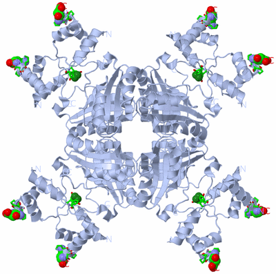 Image Biol. Unit 1 - sites