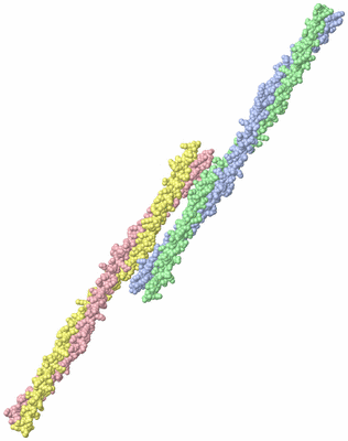 Image Asymmetric Unit