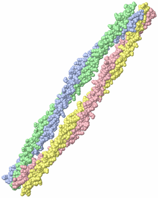 Image Asymmetric Unit