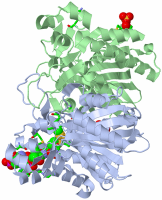 Image Asym./Biol. Unit - sites