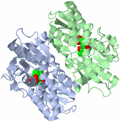 Image Asym./Biol. Unit