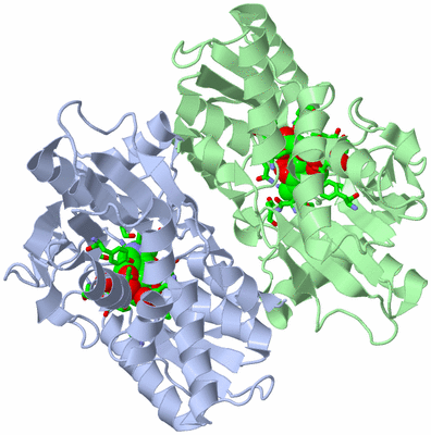 Image Asym./Biol. Unit - sites