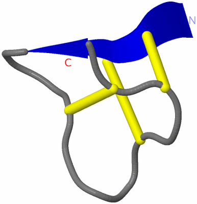 Image NMR Structure - model 1