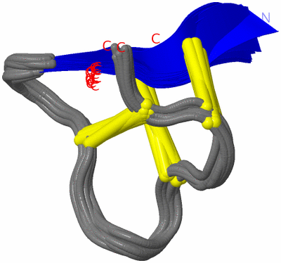 Image NMR Structure - all models