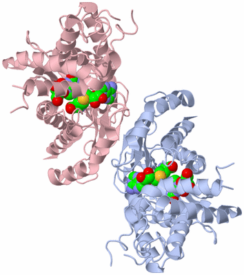 Image Biological Unit 1