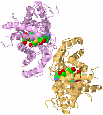 Image Biological Unit 2