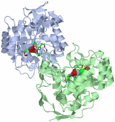 Image Asym./Biol. Unit - sites