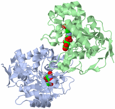 Image Asym./Biol. Unit