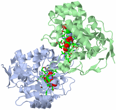 Image Asym./Biol. Unit - sites