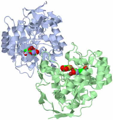 Image Asym./Biol. Unit