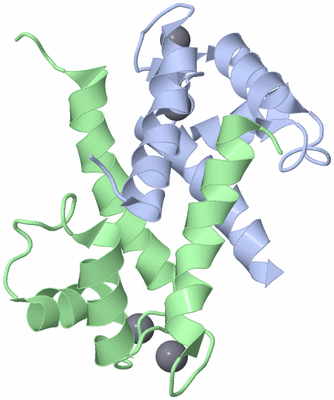 Image Asym./Biol. Unit